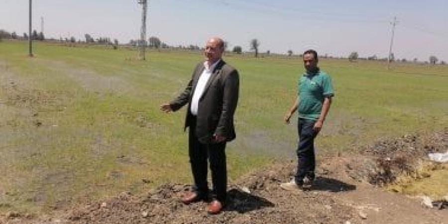 خطة لزراعة 50 ألف فدان أرز من أصناف موفرة للمياه بالدقهلية