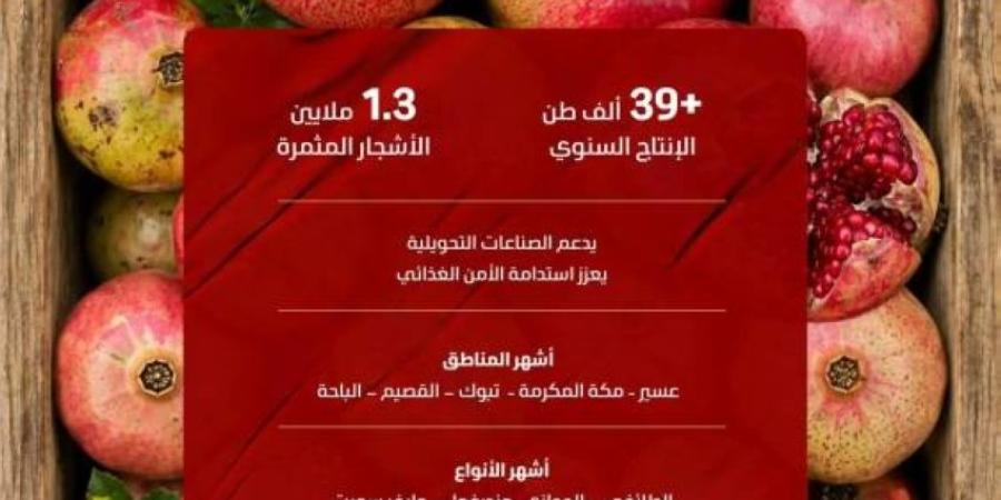 1.3 مليون شجرة رمان في المملكة تنتج 39.7 ألف طن خلال موسم الصيف